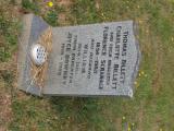 image of grave number 737268